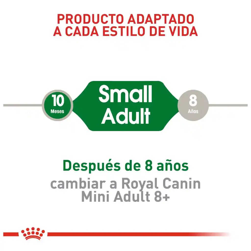 Royal Canin Alimento Para Perro Seco Adulto Mini Adult