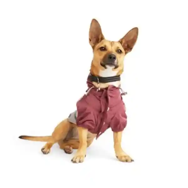 Reddy Rompevientos Para Perro Color Vino XXX-Grande
