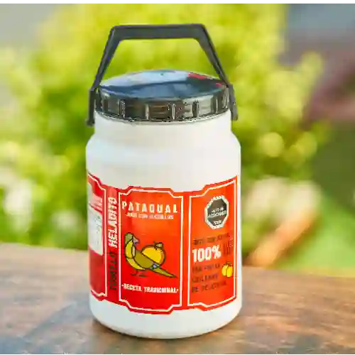 Bidón Patagual 3 Litros