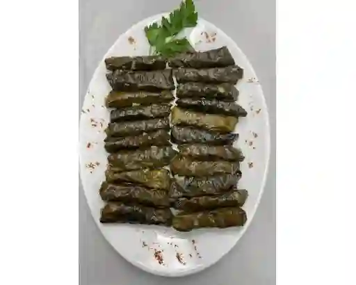 Hojas de Parra 24 Unidades