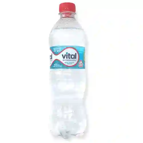 Agua Vital Sin Gas 600 ml