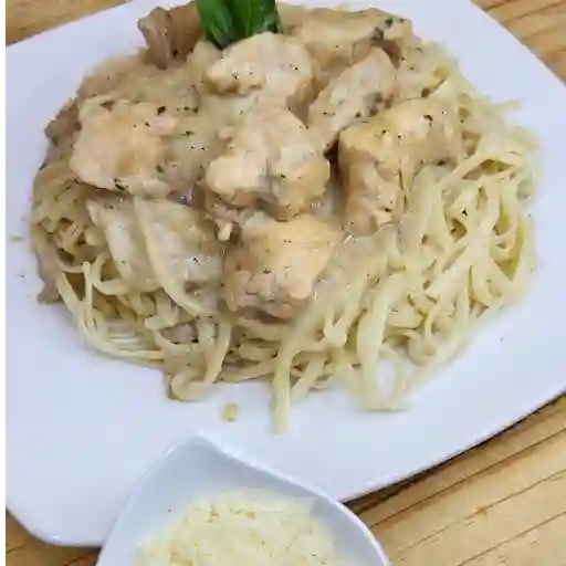 Pasta pollo alfredo premium