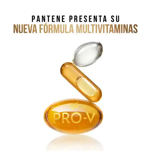 Pantene Champú Restauración con Aminoácidos Argán y Provitaminas