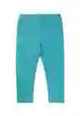 Leggins Cosmic 202 Bebé Niña Menta Talla 3 a 6 Meses Ficcus