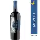 La Playa Vino Reserva Merlot 13 5 Grados