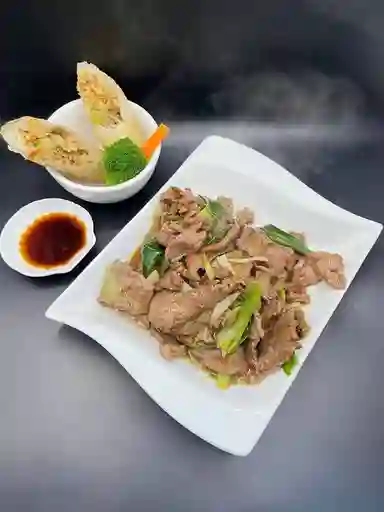 Colación Carne Mongoliana con Arroz Chaufan 5 de Wantan