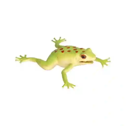 Rana Apretable Cambia Color Casaideas