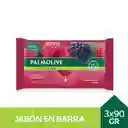 Jabón De Tocador Palmolive Toque Nutritivo X3 90 G.