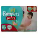 Pampers Pañales Deseclables Pants Talla Xg 