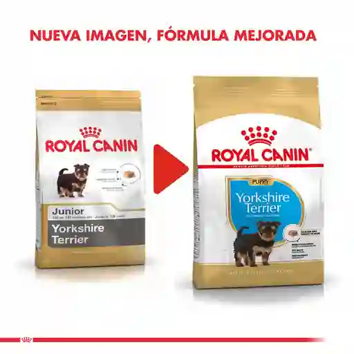 Royal Canin Alimento Para Cachorro Raza Yorkshire Terrier