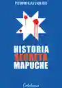 Historia Secreta Mapuche