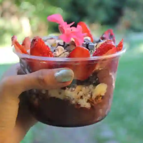 Açaí Pote 500 ml