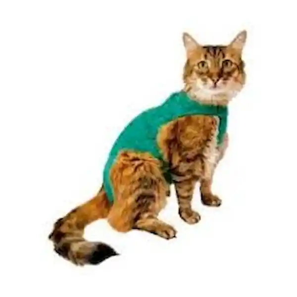 Ropa Post Quirúrgica Para Gato Verde 00