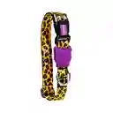 Zeedog Collar Honey Grande