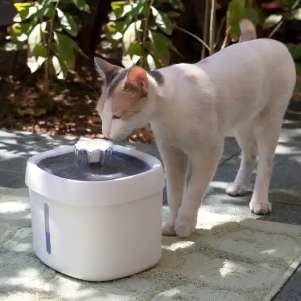 Fuente de Agua Para Gatos 2.5 L Casaideas