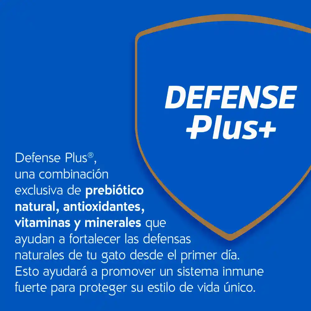 Cat Chow Alimento Gato Gatitos