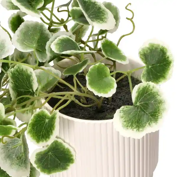 Planta Colgante Con Maceta 18 x 30 cm Casaideas