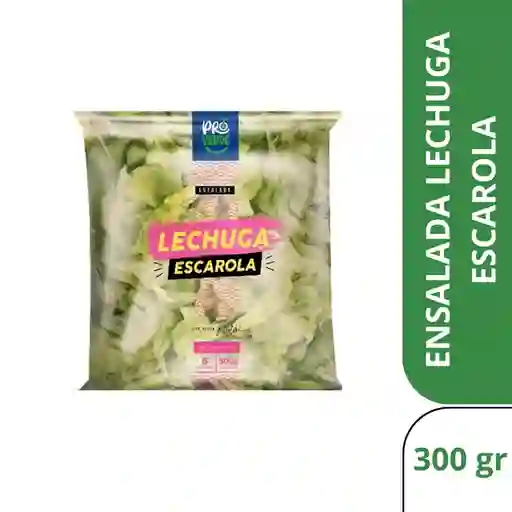 Pro Verde Ensalada de Lechuga Escarola