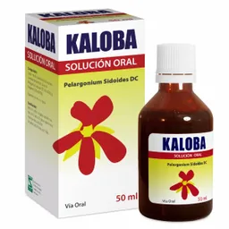 Kaloba Vitaminas Prevencion Resfrio Solución Oral