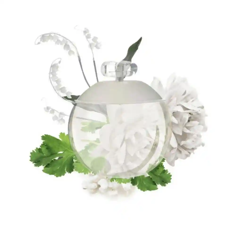  CACHAREL Perfume Noa 