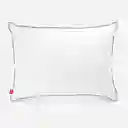 Almohada Pluma Natural 25% Pecho Americana Rosen