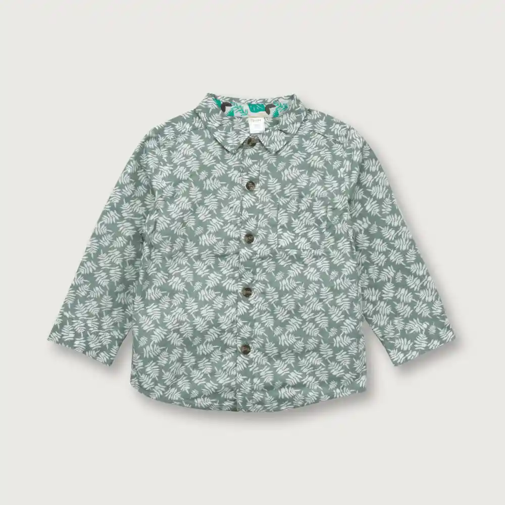 Camisa De Niño Filodendro Verde Talla 4a