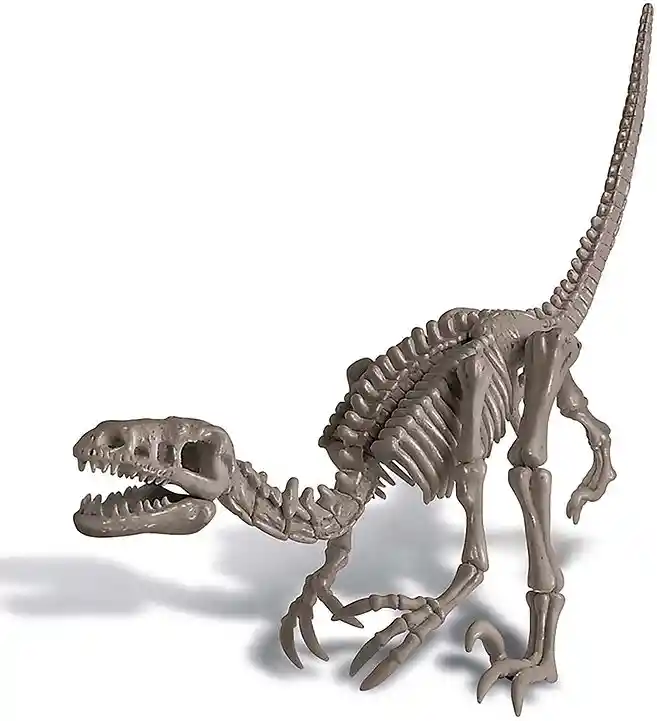 Dinosaurio Velociraptor Excava
