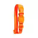 Neopro Tangerine Collar Medium