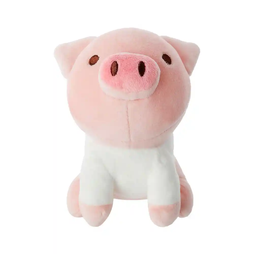 Miniso Peluche Sorpresa