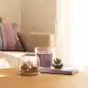 Vela Con Contenedor de Vidrio Pomelo 14 x 13 cm Casaideas