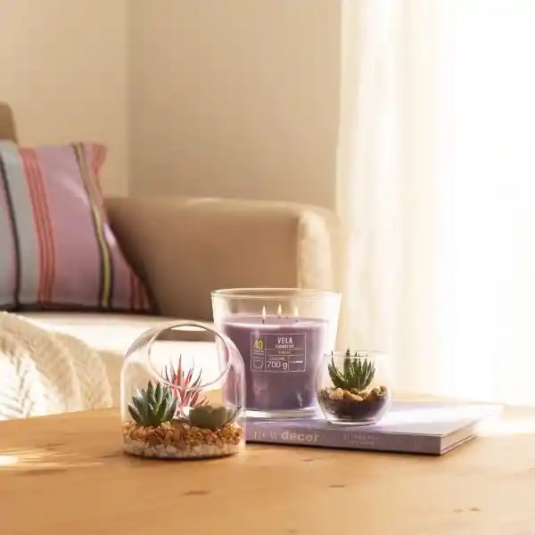 Vela Con Contenedor de Vidrio Pomelo 14 x 13 cm Casaideas