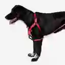 Zee.dog Arnés Neon Coral Soft Walk Harness Medium