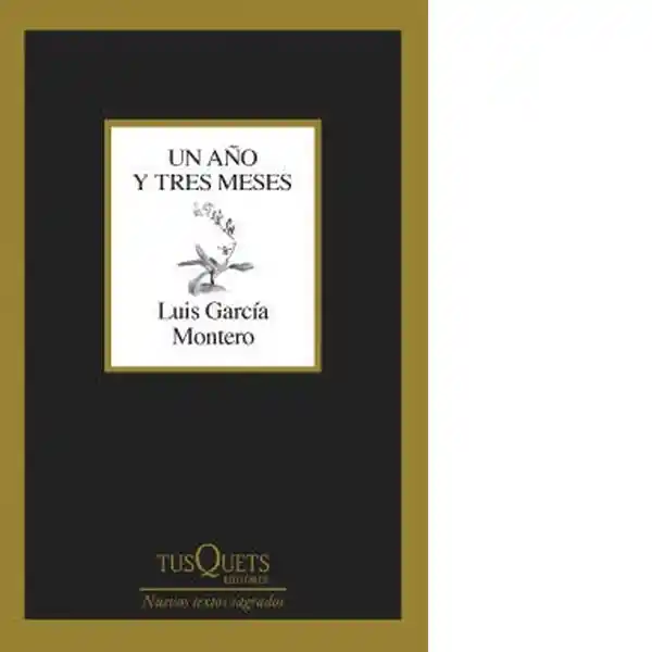 Un Año y Tres Meses - Garcia Montero Luis