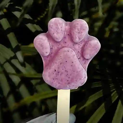 Pack de paleta de mascotas (5 unidades)