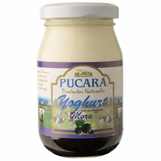 Pucara Yogurt con Mermelada de Mora 