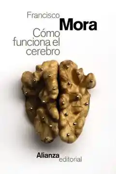 Como Funciona el Cerebro