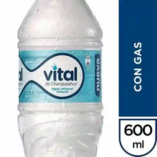 Agua Mineral con Gas 600Cc
