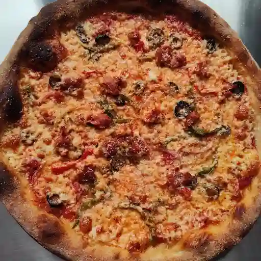 Mediterranea mediana 32cm.