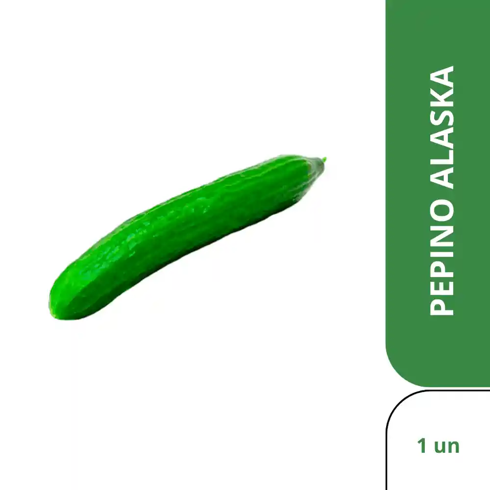 Pepino Alaska