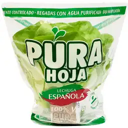 Pura Hoja Lechuga Española