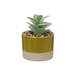 Maceta Dos Tonos Con Cactus 13 cm 3227978000031