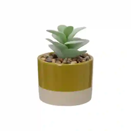 Maceta Dos Tonos Con Cactus 13 cm 3227978000031