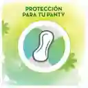 Naturella Protector Diario