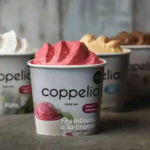 Pote de 800 mililitros de helado