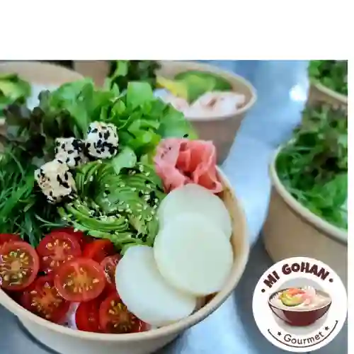 Mi Gohan Vegetariano