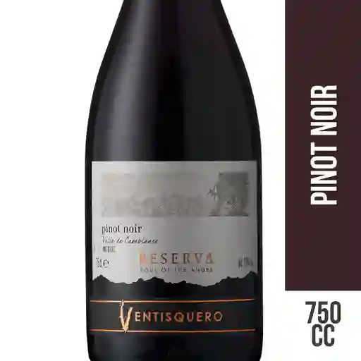Ventisquero Vino Tinto Reserva Pinot Noir