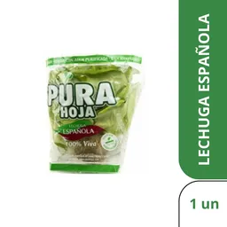 Pura Hoja Lechuga Española