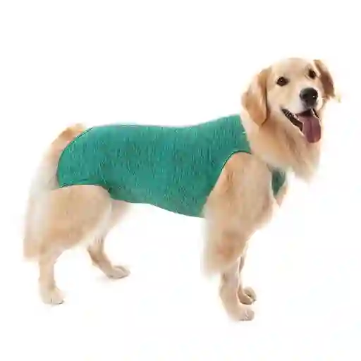 Petmed Body Quirúrgico Perro Verde Talla 10