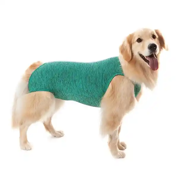 Petmed Body Quirúrgico Perro Verde Talla 10