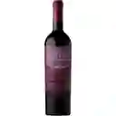 Vino Castillo de Molina R Blend 13.5° 750 cc